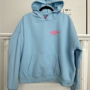 Light Blue Hoodie with Pink Logo